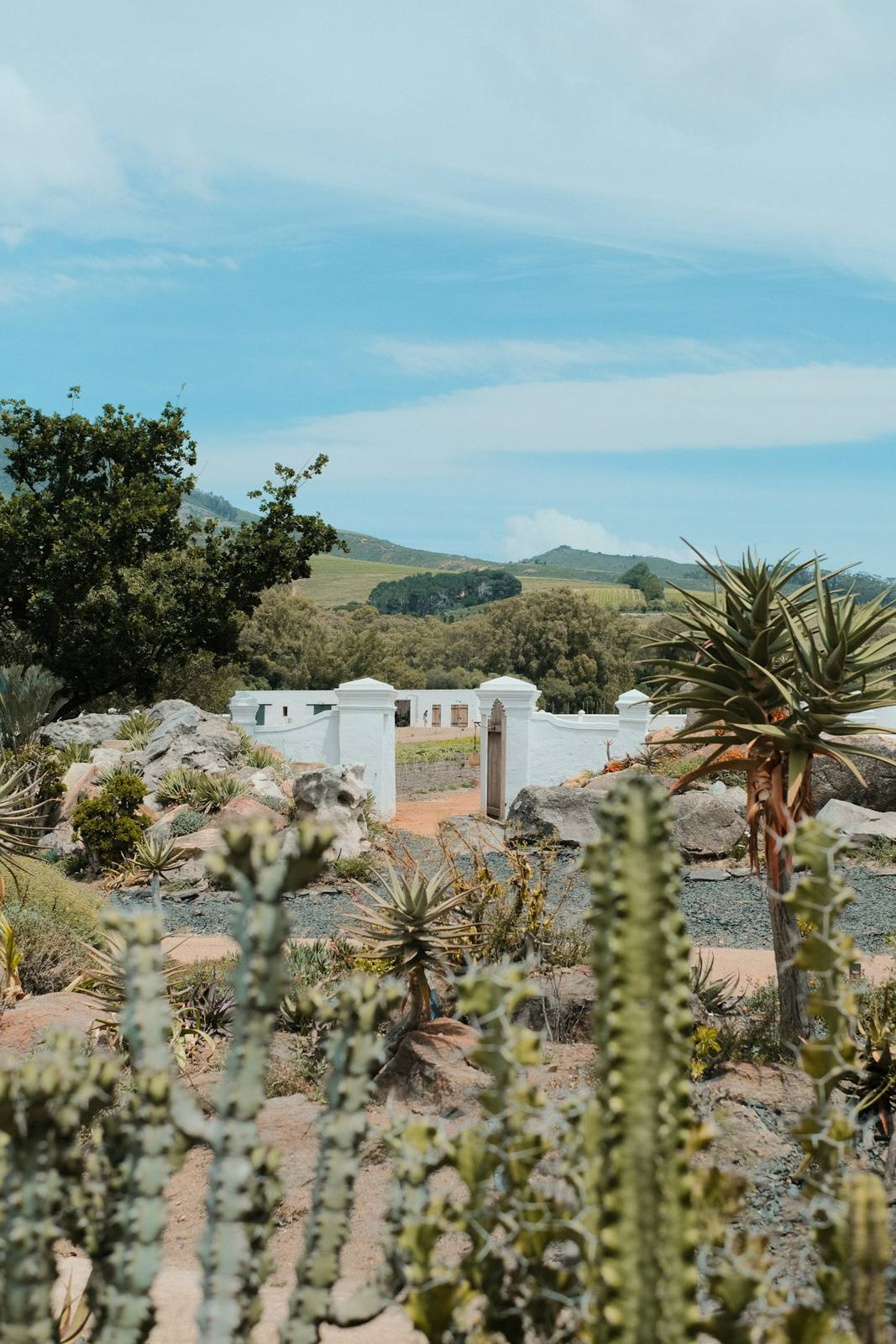 Jardín de cactus y casa estilo Cape Dutch en Babylonstoren